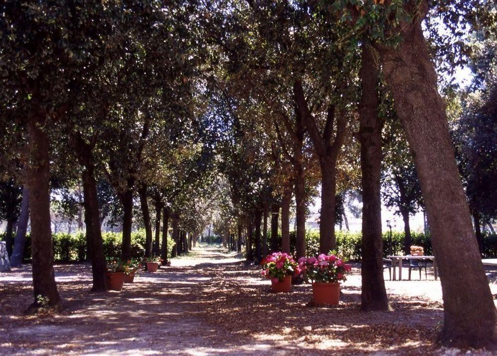 Razza Del Casalone Guest House Grosseto Exterior photo